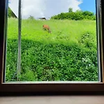 Ama Dolomiti - Aparthotel 3*