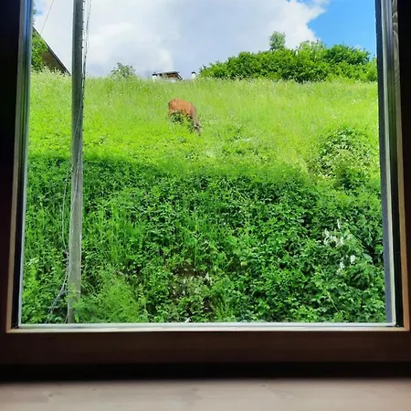 Ama Dolomiti - Apartmanhotel 3*